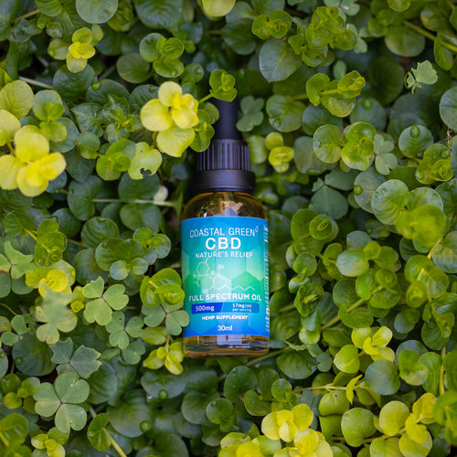 500mg Full Spectrum CBD Oil Coastal Green CBD