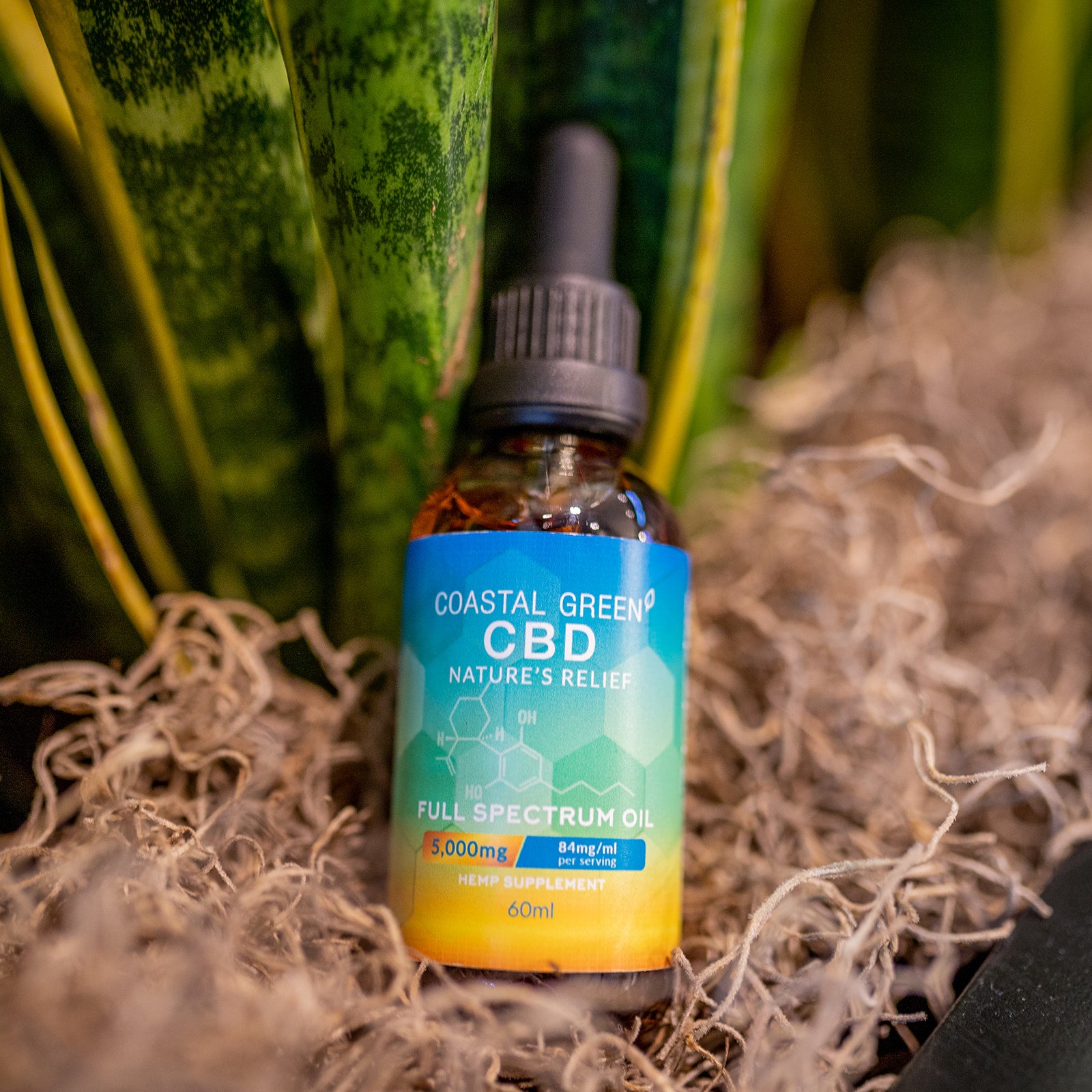 5000mg Full Spectrum CBD Oil Coastal Green CBD